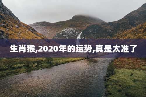 生肖猴,2020年的运势,真是太准了
