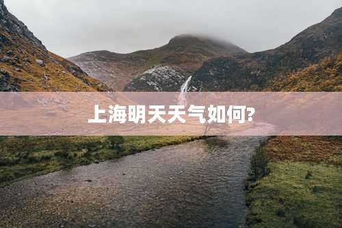 上海明天天气如何?