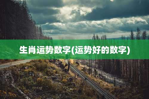 生肖运势数字(运势好的数字)