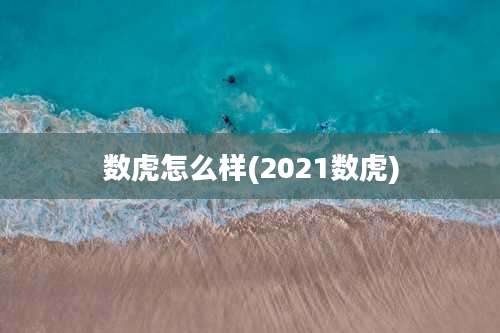 数虎怎么样(2021数虎)