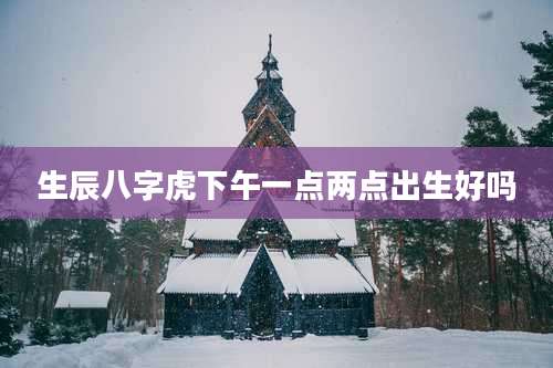 生辰八字虎下午一点两点出生好吗