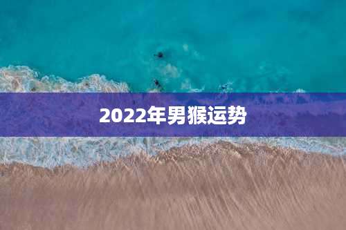 2022年男猴运势