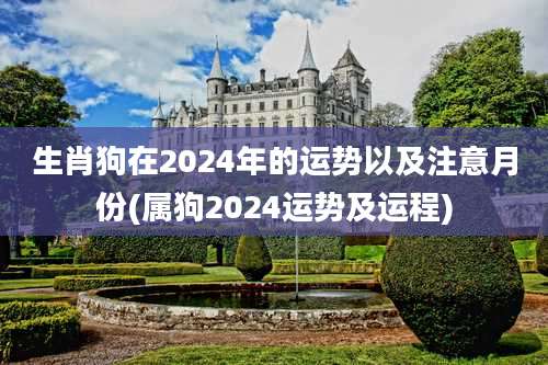 生肖狗在2024年的运势以及注意月份(属狗2024运势及运程)