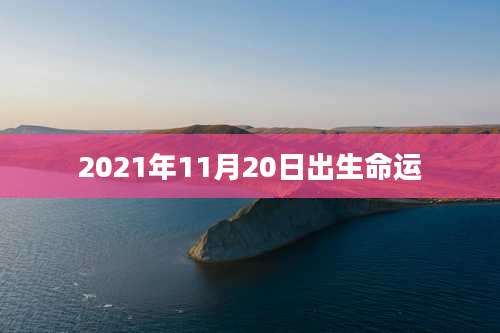 2021年11月20日出生命运