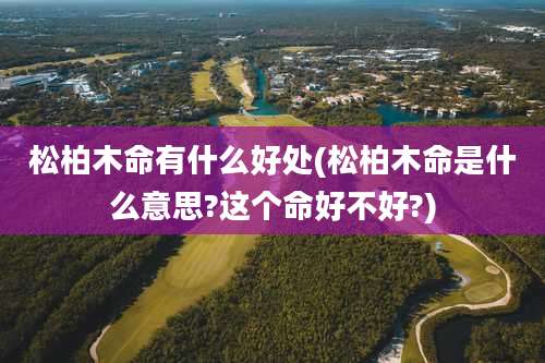 松柏木命有什么好处(松柏木命是什么意思?这个命好不好?)