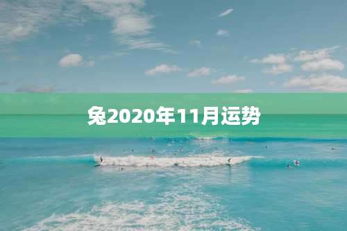 兔2020年11月运势