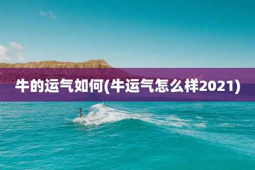 牛的运气如何(牛运气怎么样2021)