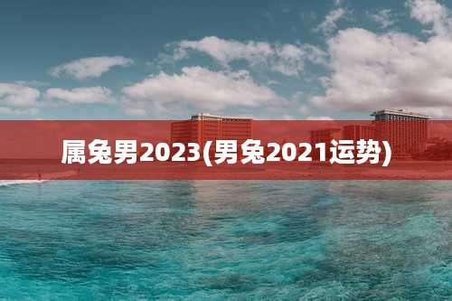 属兔男2023(男兔2021运势)