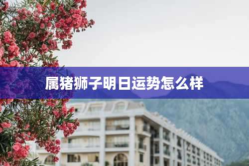 属猪狮子明日运势怎么样