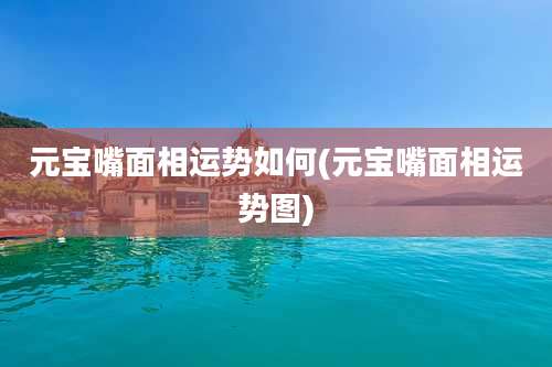元宝嘴面相运势如何(元宝嘴面相运势图)