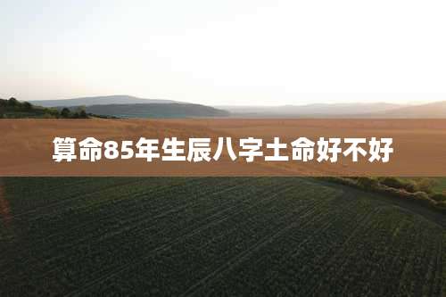 算命85年生辰八字土命好不好