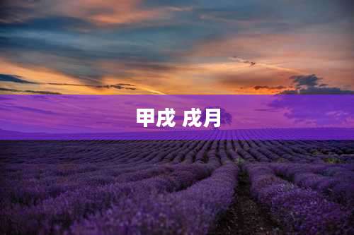 甲戌 戌月
