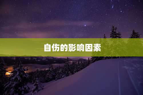 自伤的影响因素