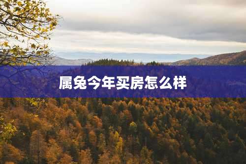 属兔今年买房怎么样