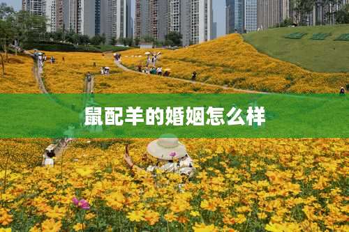 鼠配羊的婚姻怎么样