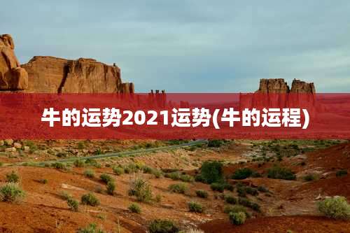牛的运势2021运势(牛的运程)