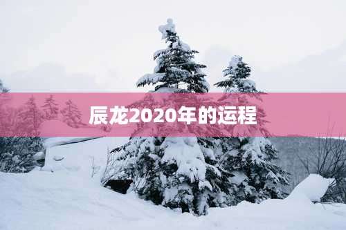 辰龙2020年的运程