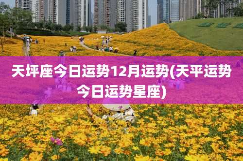 天坪座今日运势12月运势(天平运势今日运势星座)
