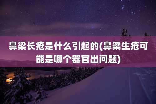 鼻梁长疮是什么引起的(鼻梁生疮可能是哪个器官出问题)