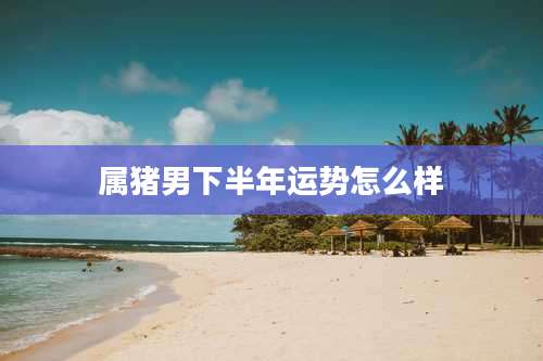 属猪男下半年运势怎么样