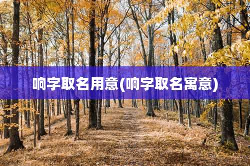 响字取名用意(响字取名寓意)