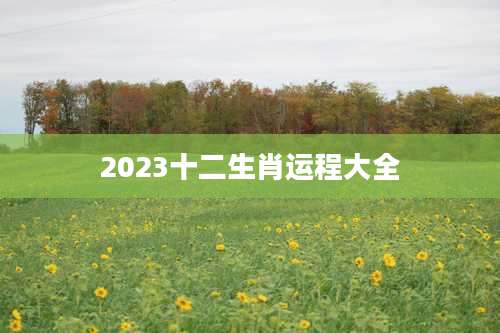 2023十二生肖运程大全