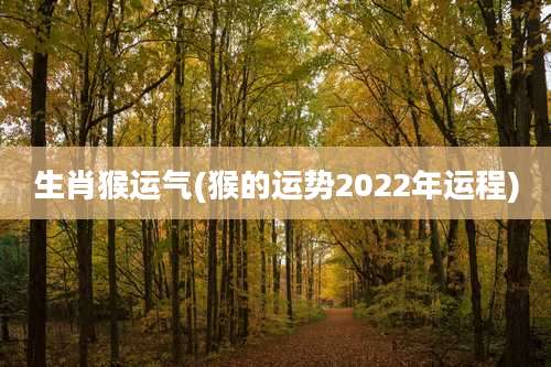 生肖猴运气(猴的运势2022年运程)