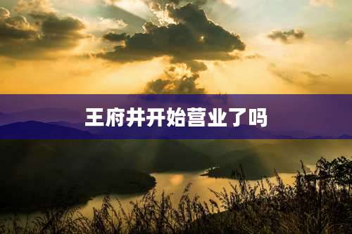 王府井开始营业了吗