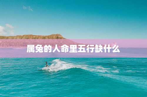 属兔的人命里五行缺什么