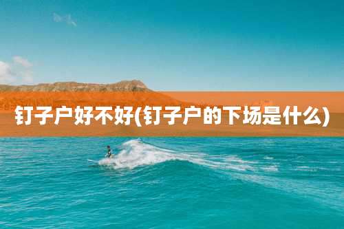 钉子户好不好(钉子户的下场是什么)