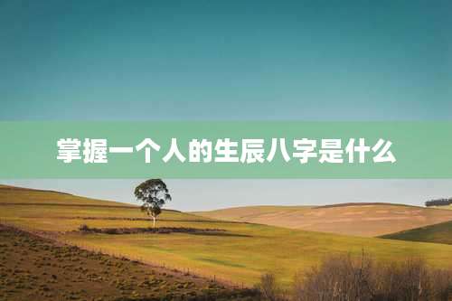 掌握一个人的生辰八字是什么