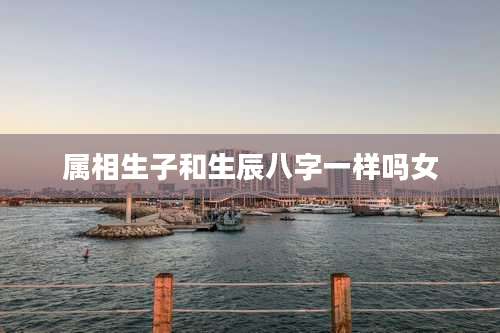 属相生子和生辰八字一样吗女