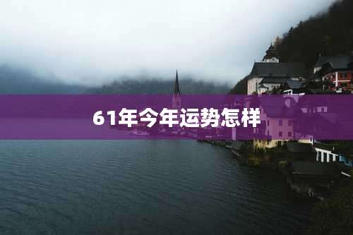 61年今年运势怎样