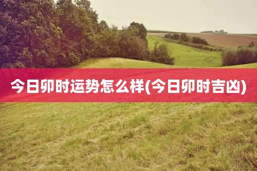 今日卯时运势怎么样(今日卯时吉凶)