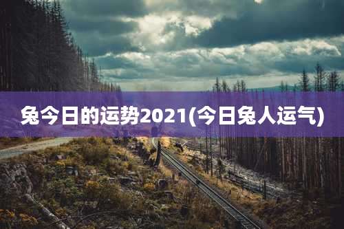 兔今日的运势2021(今日兔人运气)