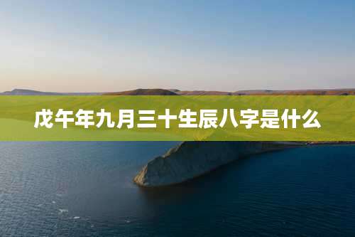 戊午年九月三十生辰八字是什么