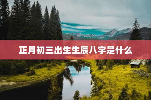 正月初三出生生辰八字是什么