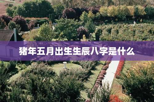 猪年五月出生生辰八字是什么
