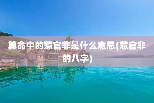 算命中的惹官非是什么意思(惹官非的八字)