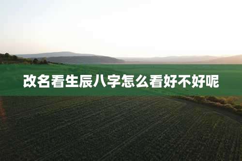 改名看生辰八字怎么看好不好呢