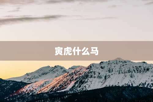 寅虎什么马