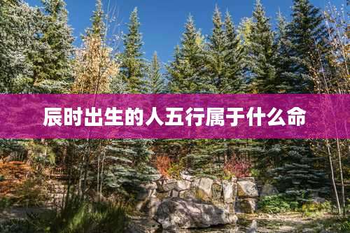 辰时出生的人五行属于什么命