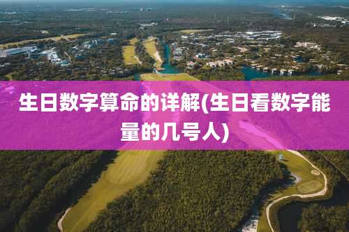 生日数字算命的详解(生日看数字能量的几号人)