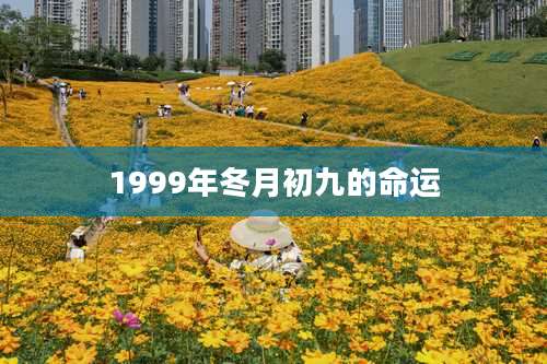 1999年冬月初九的命运