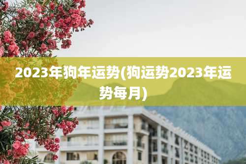2023年狗年运势(狗运势2023年运势每月)