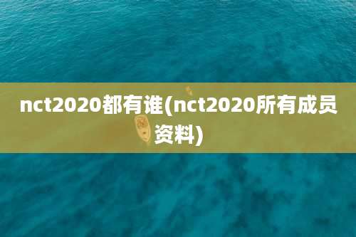 nct2020都有谁(nct2020所有成员资料)