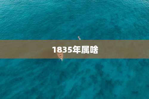 1835年属啥