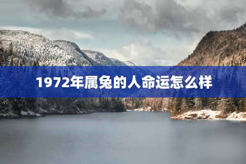 1972年属兔的人命运怎么样