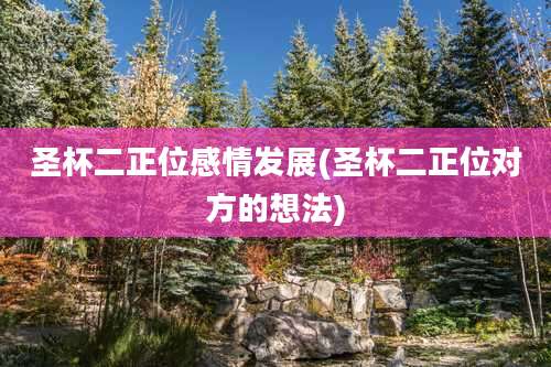 圣杯二正位感情发展(圣杯二正位对方的想法)