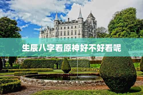 生辰八字看原神好不好看呢